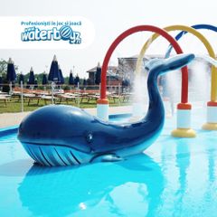 Fiberglass Whale