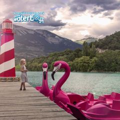Flamingo Waterbike