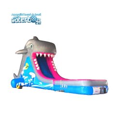 Shark Water Slide
