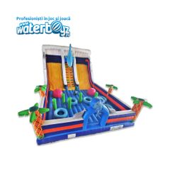 Ocean Life Inflatable Slide
