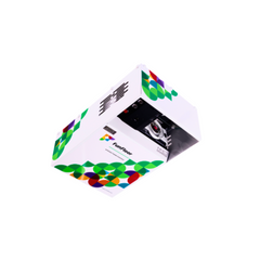 Podea Interactiva - Fun Floor EDU