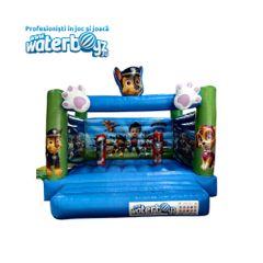 Inflatable Slide Paw Pa