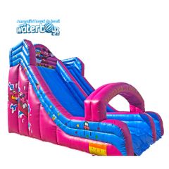 Disney Junior Inflatable Slide with 1 slope Rental