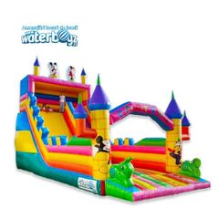 Disney Castle Inflatable Slide Rental