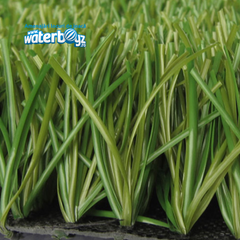 Synthetic Turf Duoinfill