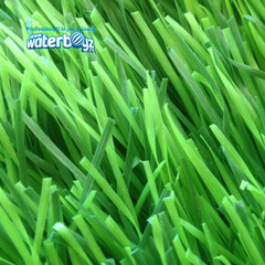 Synthetic Turf Olympic