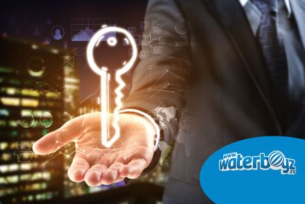 Afaceri la cheie profitabile prin intermediul Waterboyz