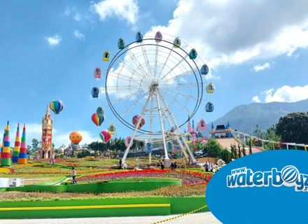 Staying Safe at Amusement Parks: What Every Visitor Needs to Know