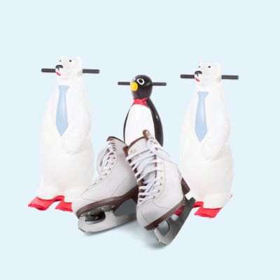 Synthetic Ecological Rinks Synthetic Ecological Rinks